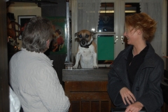Kohlessen_2010_08